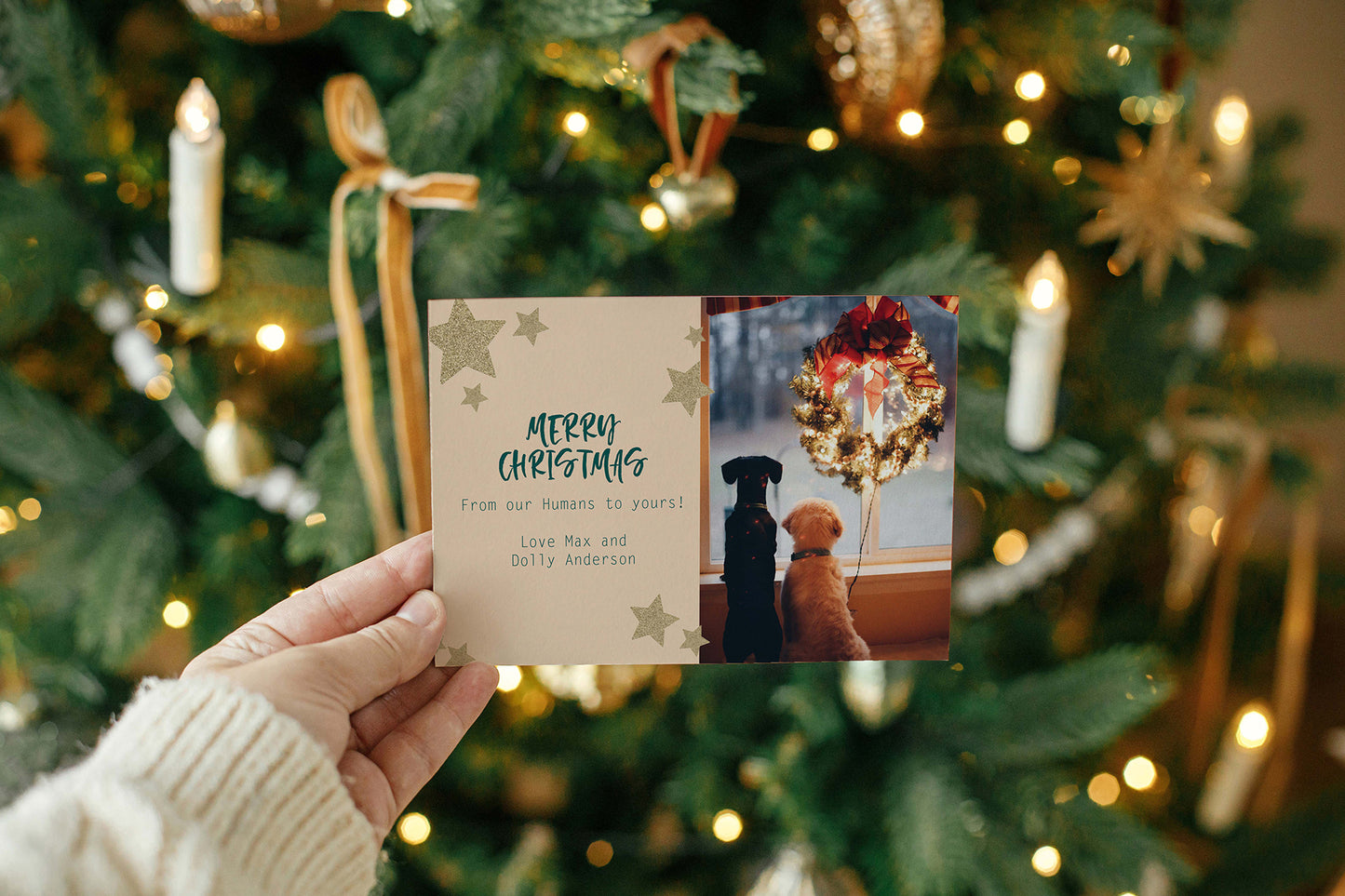 DIGITAL Christmas Photo Cards